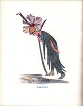 Load image into Gallery viewer, The Buttercup Book: A Flower Book for Little Folks