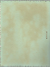 Load image into Gallery viewer, Children of Spring