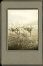 Load image into Gallery viewer, Two Exceptional Original D. F. Barry Silver Gelatin Photographs Depicting Sioux Indian Burial Scenes Along With the Original ALS From Barry to the ...