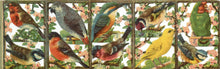 Load image into Gallery viewer, Feathered Friends (Father Tuck's "Panorama" Series) (code no. 7000)