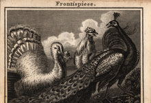 Load image into Gallery viewer, The Butterfly's Ball, Bound With Nine Other Works. A Superb Sammelband of Ten Scarce Volumes of Juvenile Poetry Published by J. Harris in 1808.