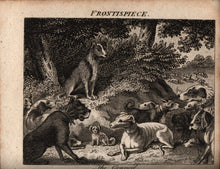 Load image into Gallery viewer, The Butterfly's Ball, Bound With Nine Other Works. A Superb Sammelband of Ten Scarce Volumes of Juvenile Poetry Published by J. Harris in 1808.