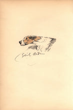 Load image into Gallery viewer, Ratcatcher to Scarlet