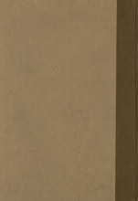 Load image into Gallery viewer, The American Girl