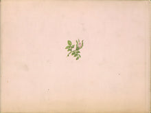 Load image into Gallery viewer, A is for Annabelle