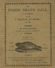 Load image into Gallery viewer, The Fishes Grand Gala. A Companion to the "Peacock at Home," &c. &c.: Parts I and II