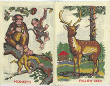 Load image into Gallery viewer, Forest Friends (code no. 318)