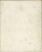 Load image into Gallery viewer, In Tumbledown Town (Volland "Sunny Book" Series)