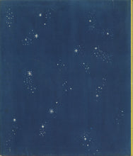 Load image into Gallery viewer, The Little Horse Bus