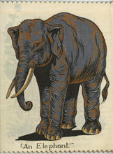 Load image into Gallery viewer, The Menagerie (code no. 102)