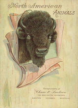 Load image into Gallery viewer, North American Animals