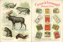 Load image into Gallery viewer, North American Animals