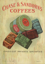 Load image into Gallery viewer, North American Animals