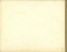 Load image into Gallery viewer, Peregrin and the Goldfish: A Picture Book