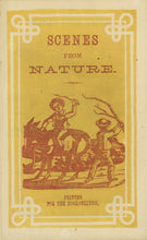 Load image into Gallery viewer, Scenes From Nature (Book 8 in the Series)