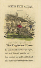 Load image into Gallery viewer, Scenes From Nature (Book 8 in the Series)