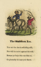 Load image into Gallery viewer, Scenes From Nature (Book 8 in the Series)