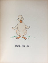 Load image into Gallery viewer, The Story of a Little Duck (code no. M3482)