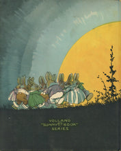 Load image into Gallery viewer, Sunny Bunny (Volland "Sunny Book" Series)