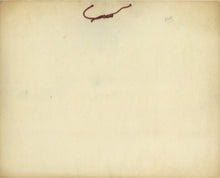 Load image into Gallery viewer, Dean's Swimeesy Buoys Retail Showcard