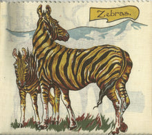 Load image into Gallery viewer, The Jungle (code no. 69)