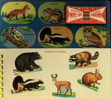 Load image into Gallery viewer, Color and Wipe-Off Book about Woodland Friends (A Capitol Fun-to-Learn Book)