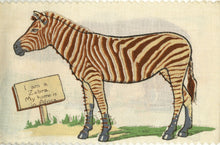 Load image into Gallery viewer, The Zoo Rag Book (code no. 155)