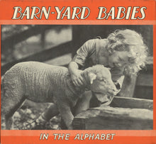 Load image into Gallery viewer, Barn-Yard Babies in the Alphabet (code no. M3481)
