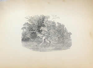 A Fine Album of Thomas Bewick Vignettes or "Tale-Pieces" Inscribed by Bewick and Presented to Richard Arkwright in 1824