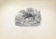 Load image into Gallery viewer, A Fine Album of Thomas Bewick Vignettes or &quot;Tale-Pieces&quot; Inscribed by Bewick and Presented to Richard Arkwright in 1824
