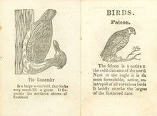 Load image into Gallery viewer, The Child&#39;s Book About Birds.
