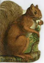 Load image into Gallery viewer, Frisky, the Squirrel
