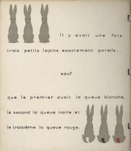 Load image into Gallery viewer, Une Histoire de Lapins [A Rabbit Story]
