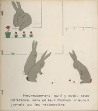 Load image into Gallery viewer, Une Histoire de Lapins [A Rabbit Story]
