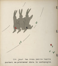 Load image into Gallery viewer, Une Histoire de Lapins [A Rabbit Story]
