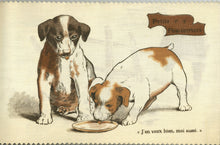 Load image into Gallery viewer, Les Betes que Nous Aimons (French Language Edition of Dean&#39;s Rag Book no. 97: &quot;Pets We Love&quot;)
