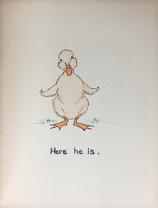The Story of a Little Duck (code no. M3482)