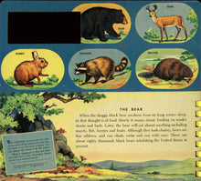 Load image into Gallery viewer, Color and Wipe-Off Book about Woodland Friends (A Capitol Fun-to-Learn Book)
